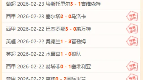 大乐透期号解析：朗斯需力保榜首，专家质合分析前区十码